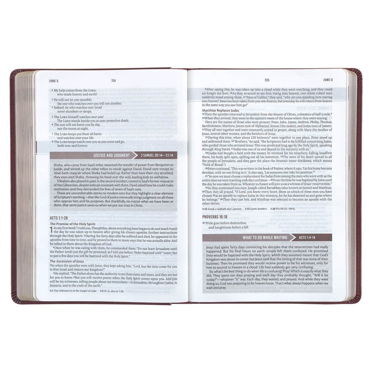 Saddle Tan Faux Leather NLT Everyday Devotional Bible for Men, picture 5